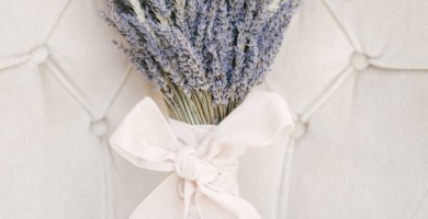Chọn nơi bán sỉ hoa lavender giá chất